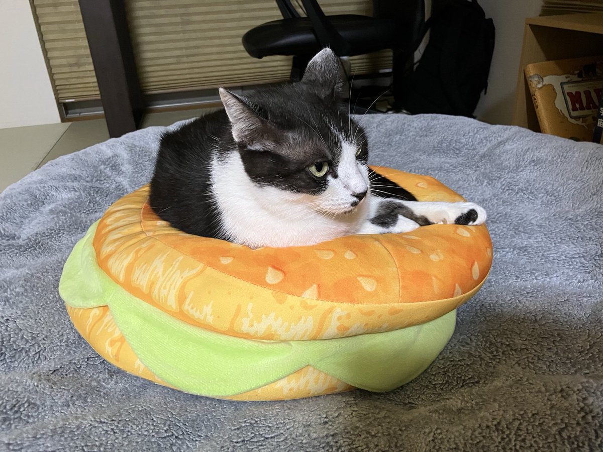 先週の金曜日にやっと自宅にネット回線を引き込んで貰いました😆
今までは妻の実家の電波を借りてましたがギリギリだった為、赤✖️になったりたまに切れたりとかなり不便でした😅
コレで快適なフォトナライフが送れるようになりました😄
（もう言い訳は出来なくなるけど😗）
#Fortnite