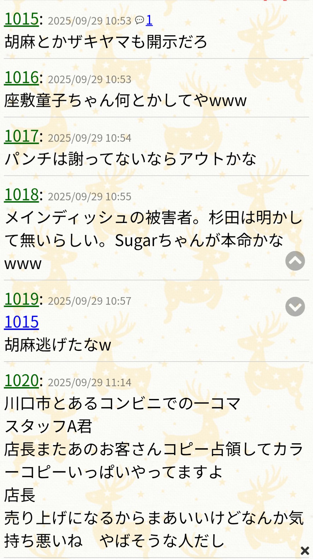 たぬきページ シュバルツ写真館 on X: 