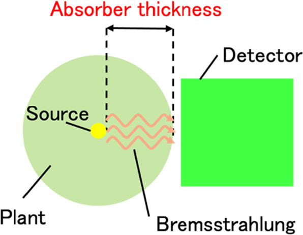 CRiES_Tsukuba's tweet image. 📡 A new method enables non-invasive #14C quantification in plants using bremsstrahlung spectra from β-rays. Attenuation-corrected count ratios reveal stable radioactivity across absorber thicknesses 🌿🔬 #Radiotracer #Carbon14 #PlantScience 
🔗doi.org/10.35848/1347-…