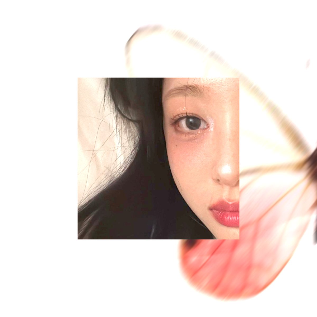 𝒞ecilia tweet media