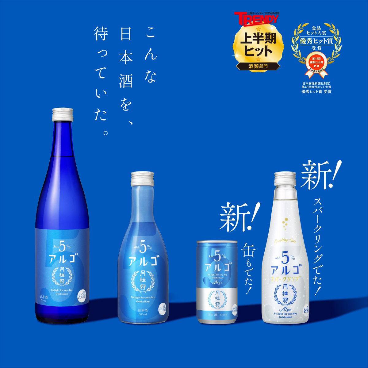 冠雪の島 Foil　コールドスナップ Foil】(152)《冠雪の島/Snow-Covered Island》[CSP] 土地L