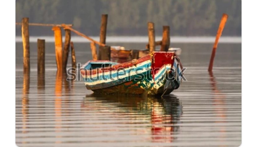 ModouPa10526's tweet image. 