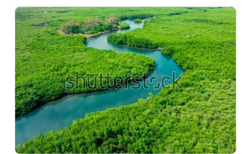 ModouPa10526's tweet image. 