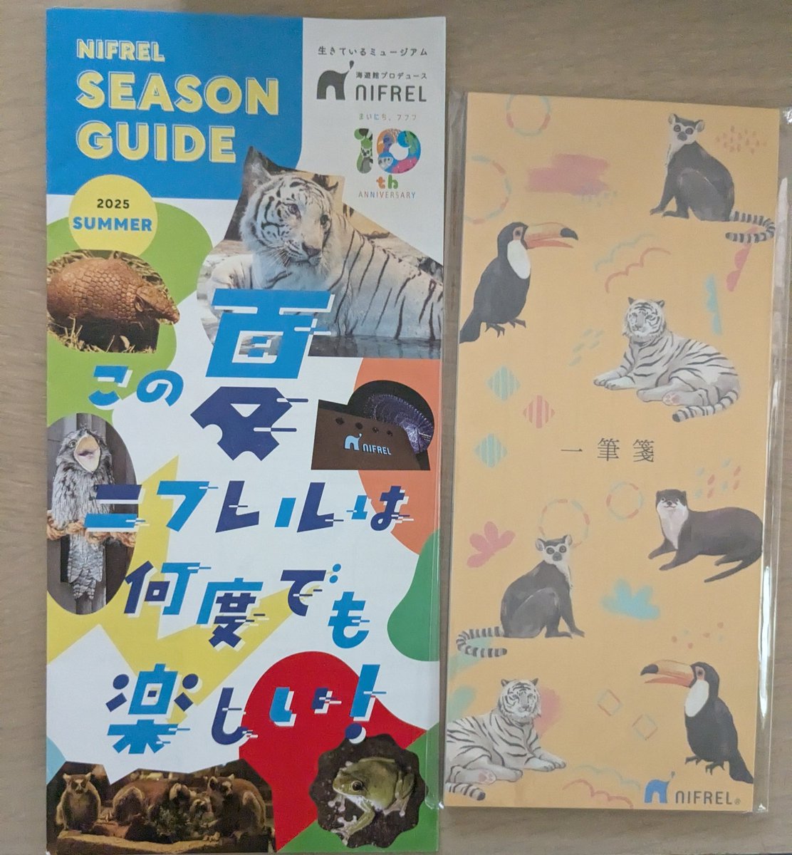 キジトラのヒメSHOP♕ページ（作成中） キジトラしろchacha (@chacha09040326) / X