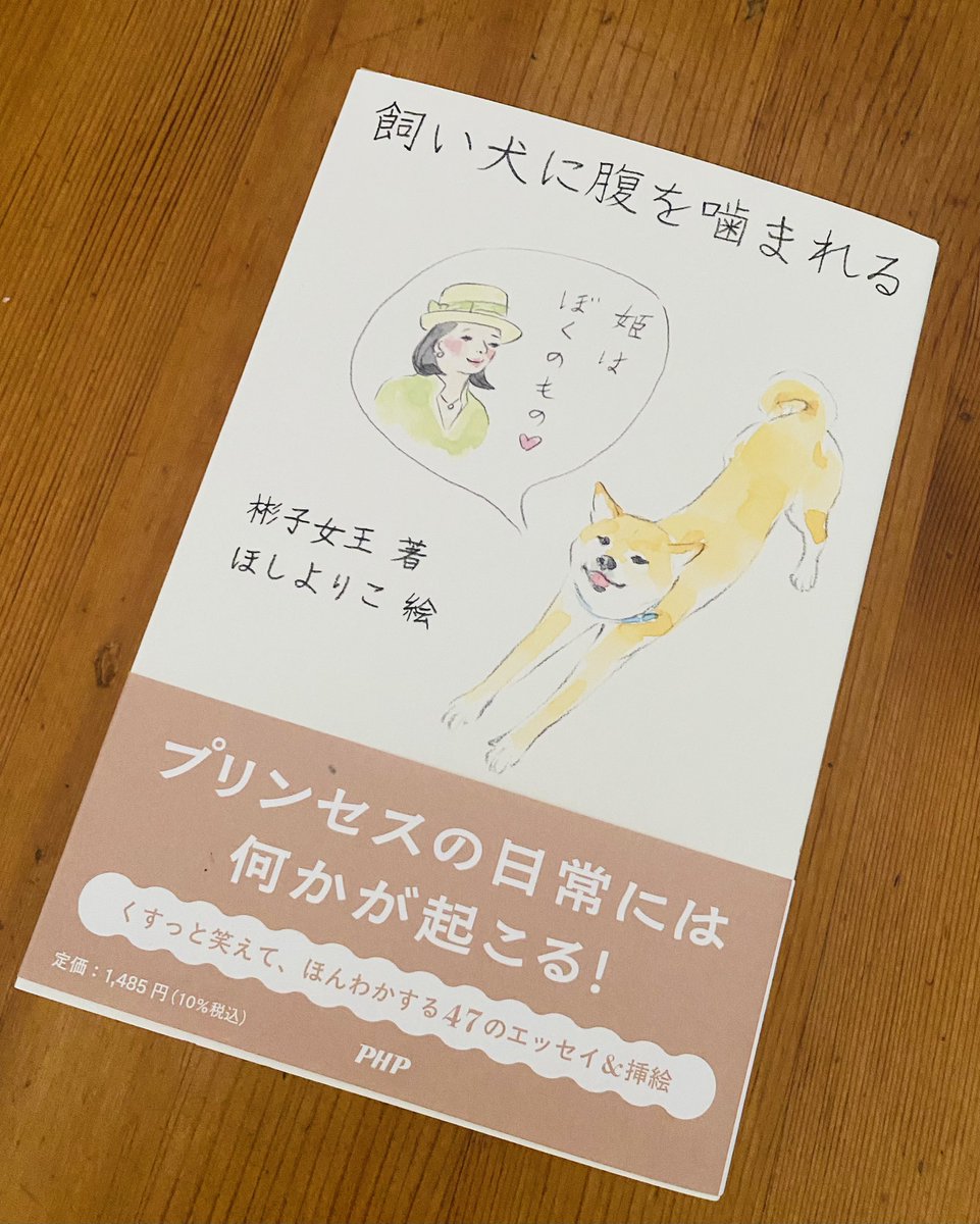 きなこ❣️ 🌈おかかアンドきなこTシャツ🌈 おかかときなこが可愛いイラスト