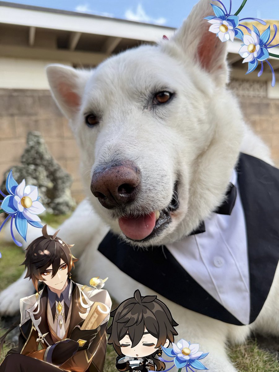 emivevo_'s tweet photo. Happy Birthday Genshin Impact!!! Oh and happy birthday to Yuki!!!! https://t.co/xMIsyhgOzM
