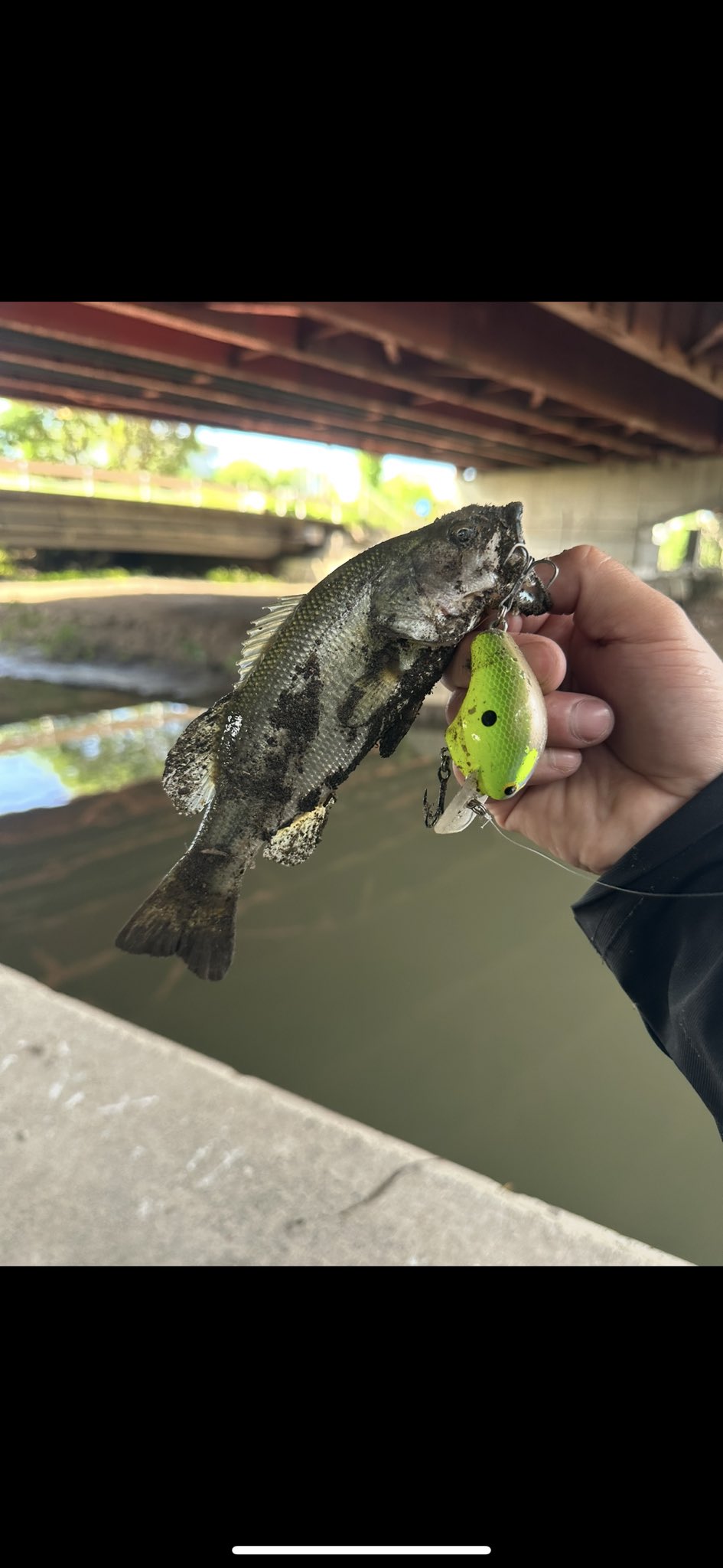 バス釣り TexasBankFisherman🇨🇱 (@texasbankfishe1) / X