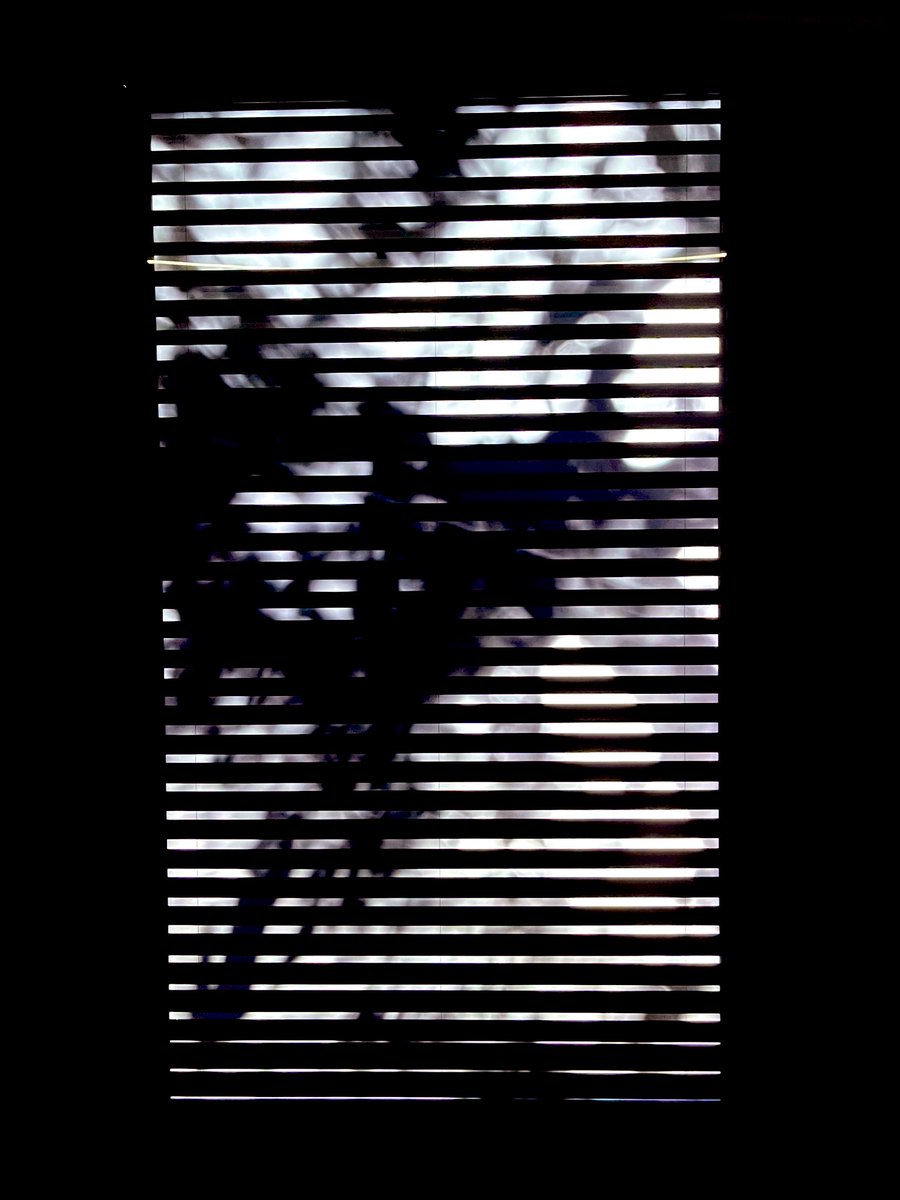 星期一有種一上班就想下班了🙂
精神不濟但忙碌
-
前些日子平日一個人去了趟北美館
好喜歡平日的休假