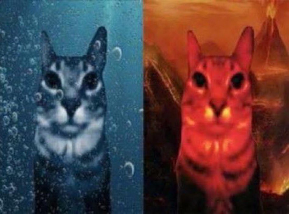 guy in 1939: “marvel comics”? yeah sure i’ll buy this comic, i wonder what’s inside…

the iconic sub-mariner and human torch: