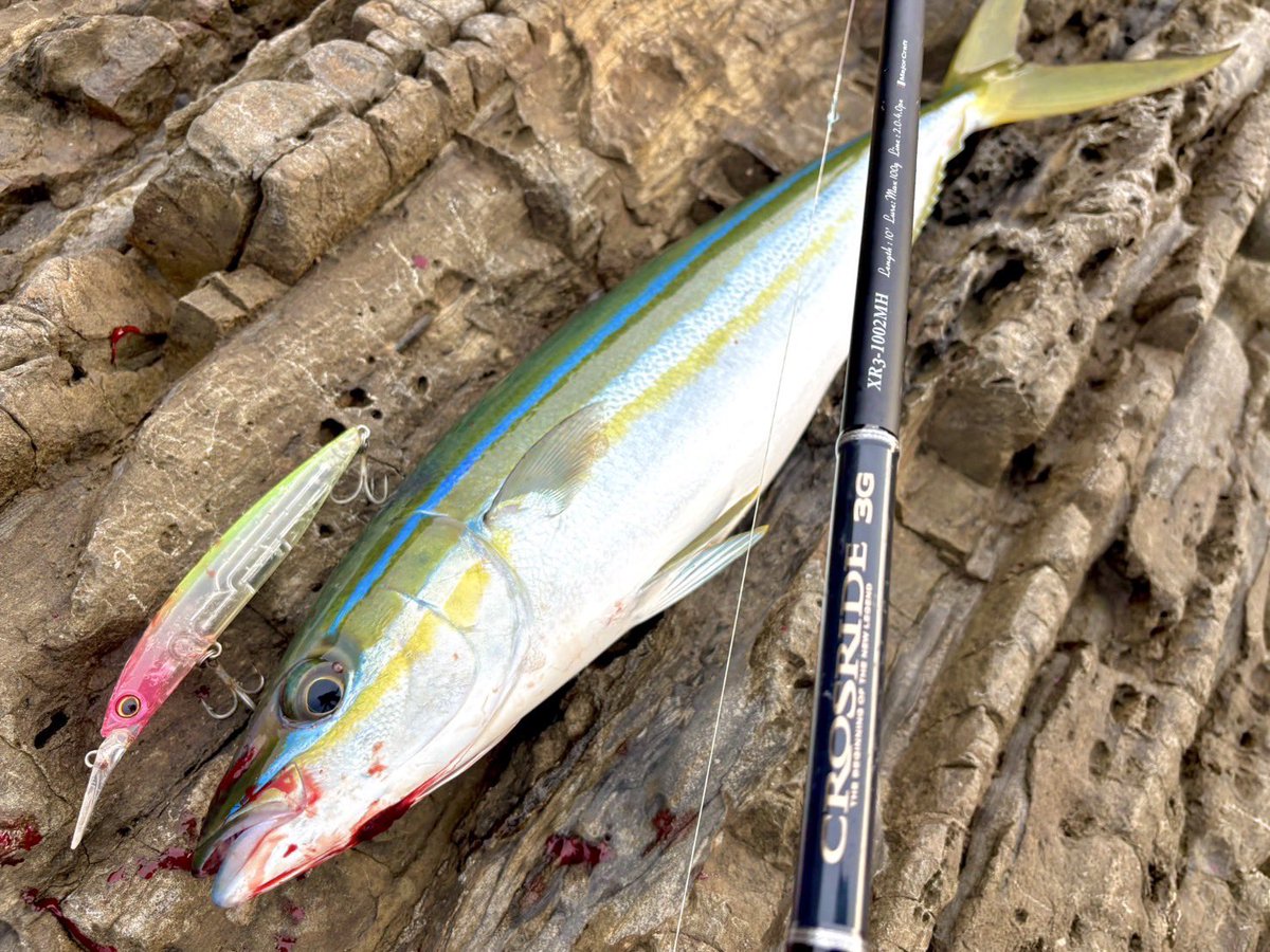 メジャークラフト株式会社 on X