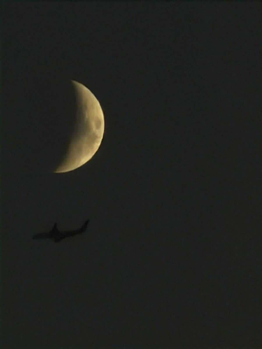 html5cat's tweet image. was testing 17 Pro Max 40x zoom and caught this