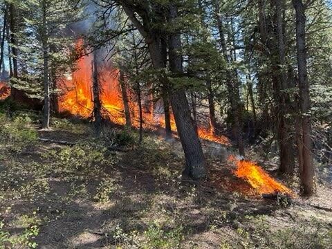 #uwcnf Logan RD photos taken 9/27, Blacksmith Fork Prescribed Fire, Ephraim’s Grave Area. Yesterday crews successfully completed prescribed fire objectives, and today will be transitioning to patrolling the fire area to find any hot spots that could threaten control lines.