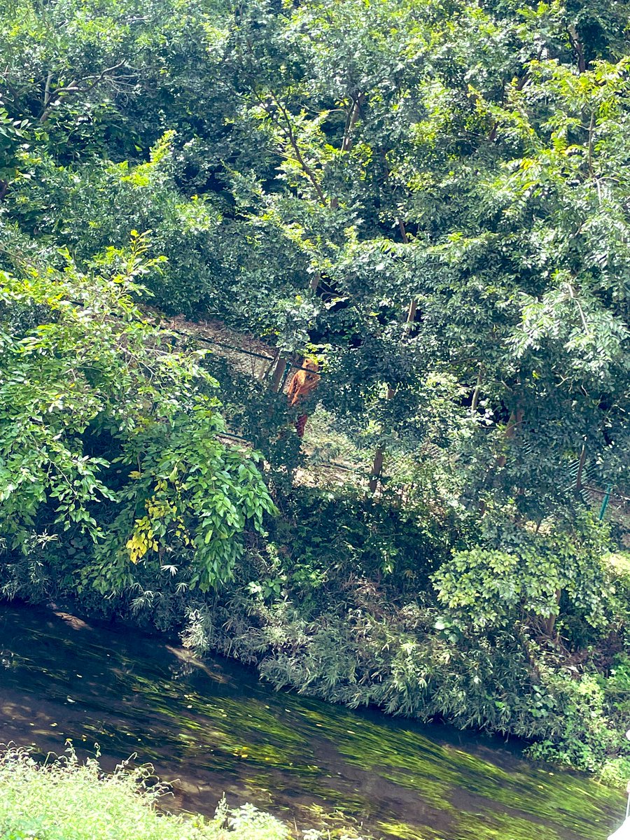 昨日も皆さんのおかげで楽しく素晴らしい撮影でした🙏

足音をたててイロイロが近づいてきてイル。

panictracks.theshop.jp