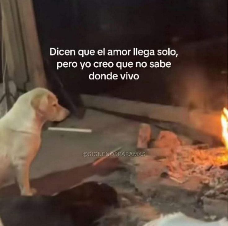 bauldefrases (@suspirxsalaire) on Twitter photo 