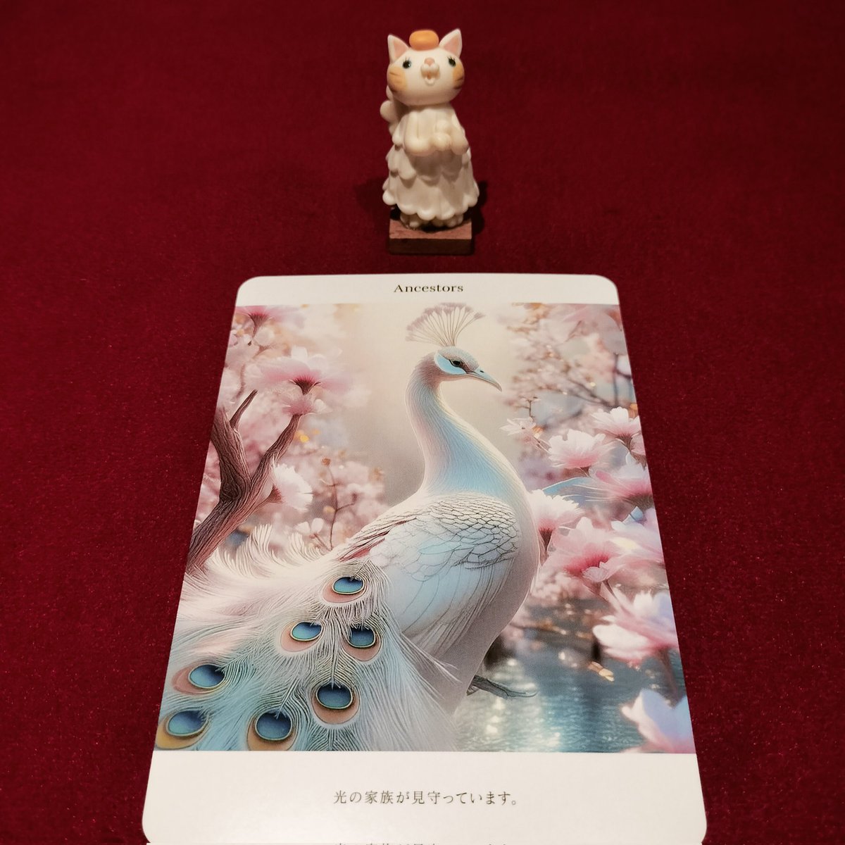 suzu_soracle's tweet image. 🌹天使猫のオラクル🌹

あなたは守られています。
安心して選択してください。
大切な人に連絡して
みましょう。

#Soracle
#スピリチュアル
#心に響いた言葉だけ受け取って
