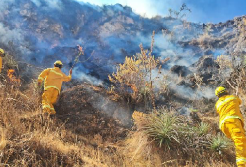 COENPeru's tweet photo. Esta tarde se activó, en la comunidad Parco, sector Wallawayco y Meskaqollo, el #IncendioForestal que se registra desde el 24/9 en el distrito #Accha, provincia Paruro (Cusco), donde el fuego ha consumido, hasta el momento, 1600 ha de cobertura natural. (1/2) https://t.co/40csI548al