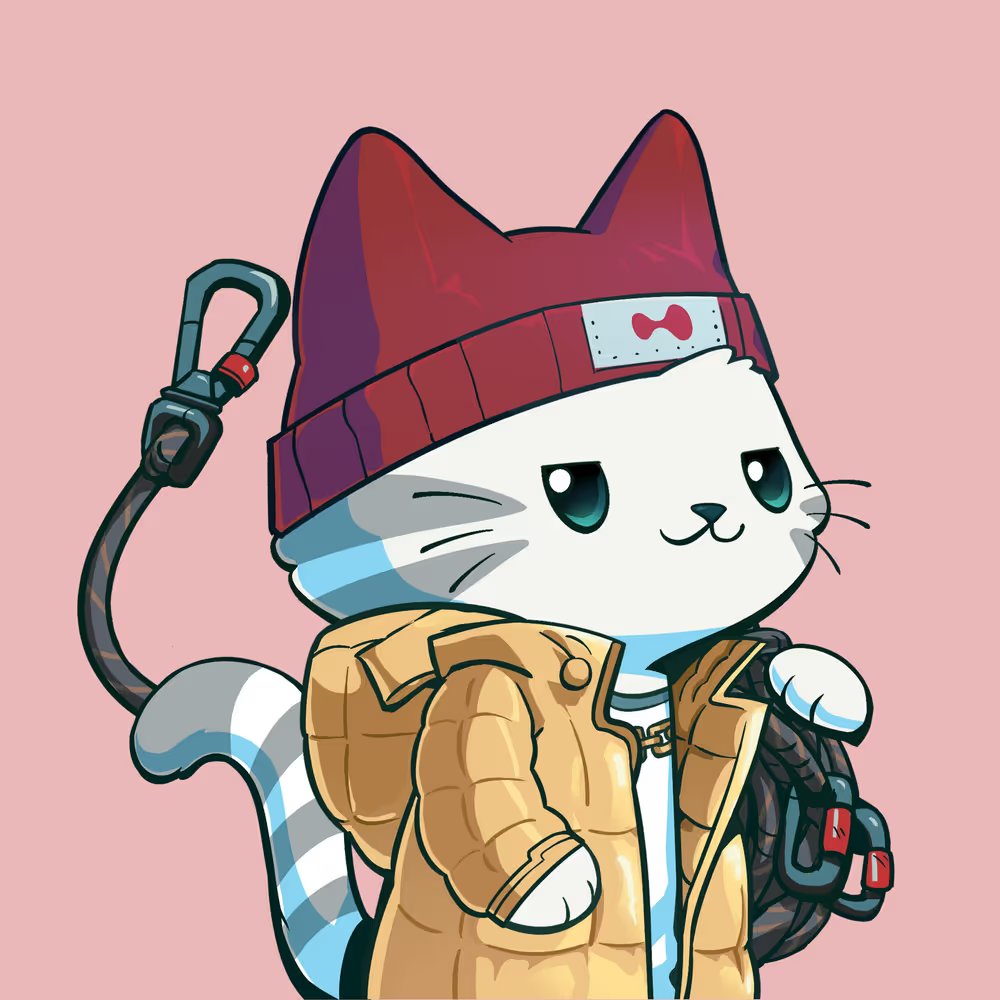 HyperliquidHari's tweet photo. 🏠The 3 Hypurr brothers who never came home… finally did! 🐱🐱🐱
Hari’s fam is complete. Me + my 3 Hypurr bros, forever.
Huge thanks to @chameleon_jeff  and the @HyperliquidX  team for bringing them home. https://t.co/qs4Wj9V9Gi