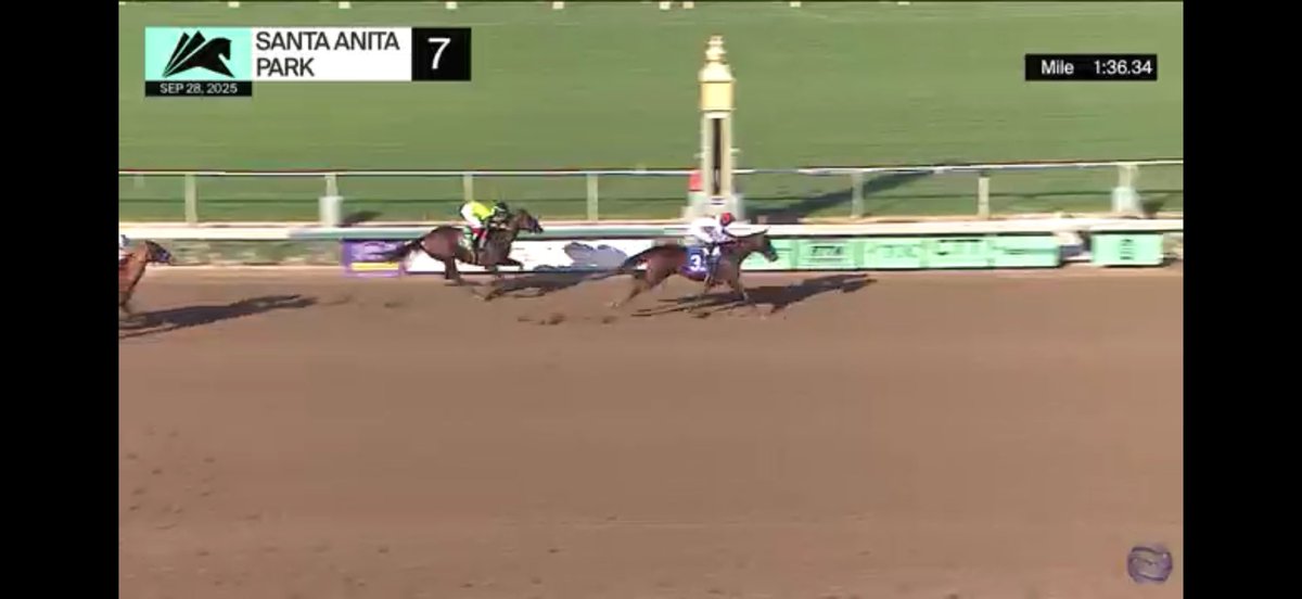 Cavalieri is 5 for 5!! After a tough break she wins the Zenyatta Stakes and punches her ticket to the Breeders Cup🏆 Pine Branch Farm owns the 1/2 sister who just had her Cyberknife sell for $170,000!
