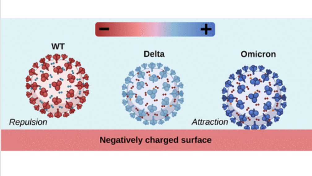 ShaneBond77's tweet photo. Here’s the ACS figure comparing WT, Delta, and Omicron electrostatics 👇 https://t.co/EXAOb0LLmq
