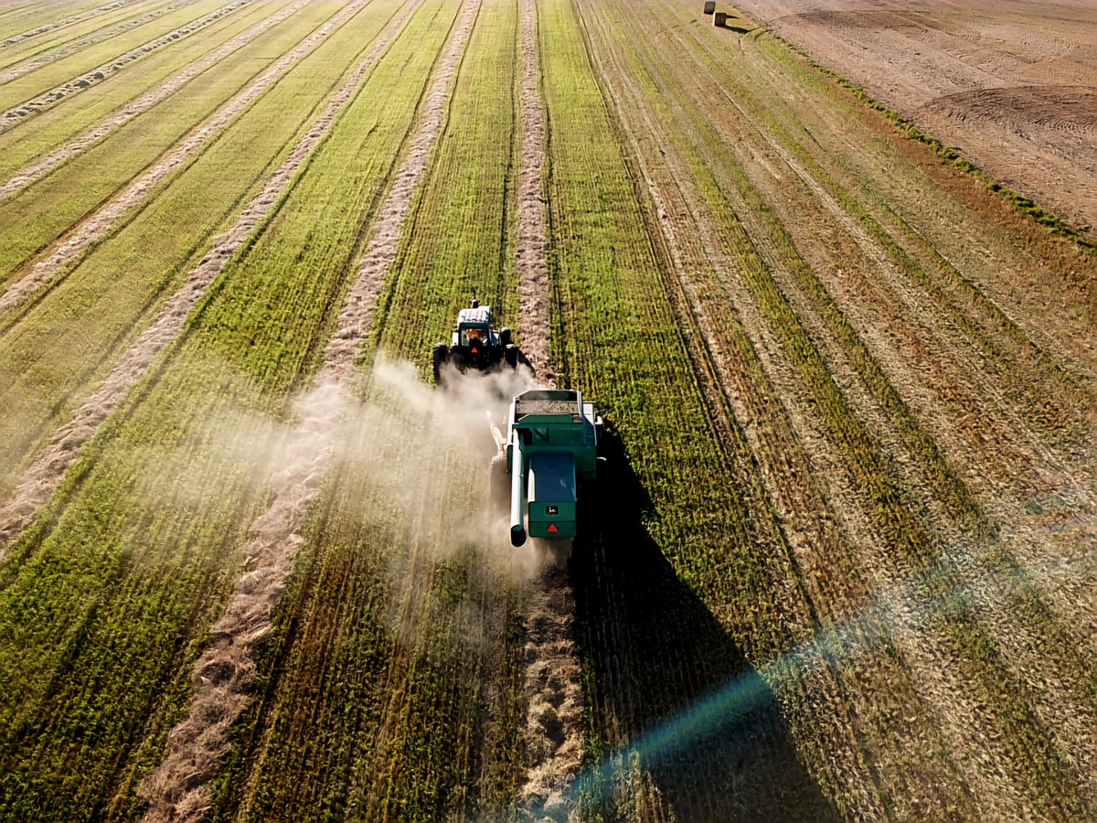 Ryan Hofford tweet media