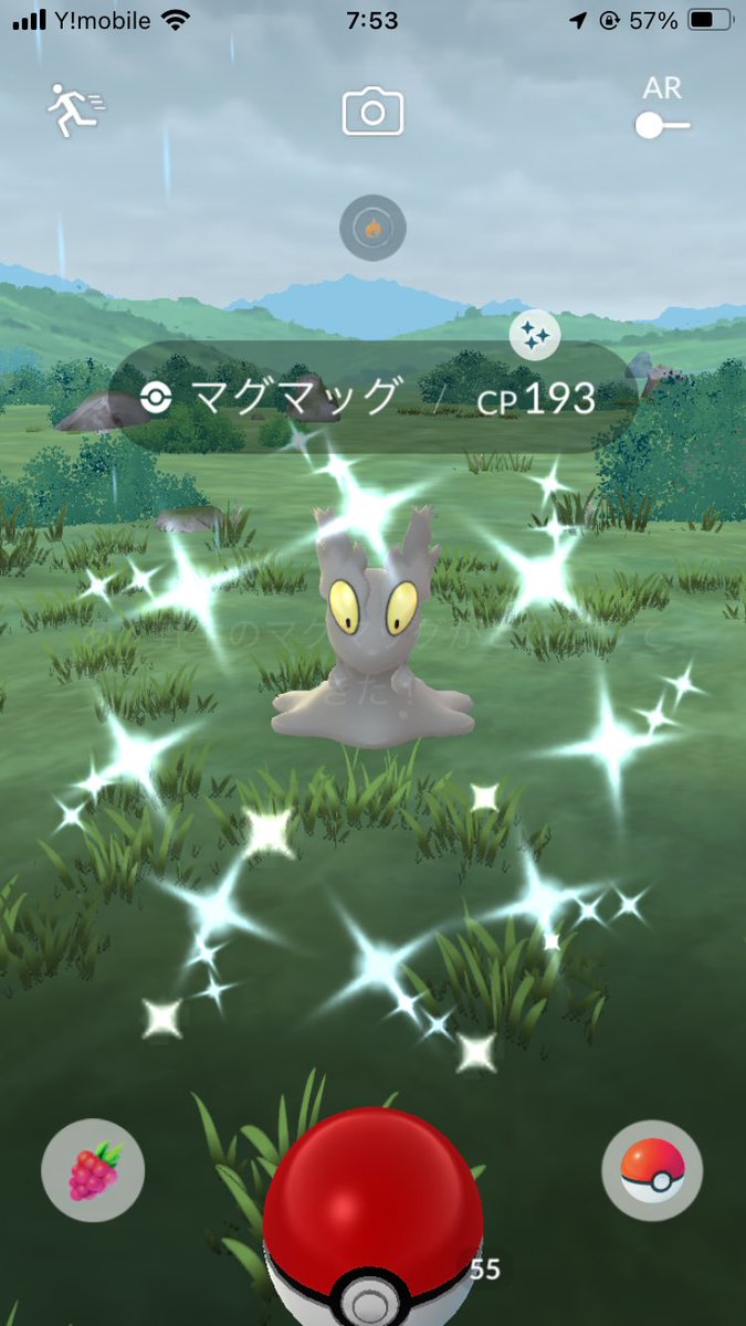 ruin_pkmn's tweet photo. 最近出会った色違い！
イワンコ、マグマッグは初ゲット👍
はぐれメタルみたいでかわいい笑
#ポケモンGO 
#色違い https://t.co/pxev6wJgKh