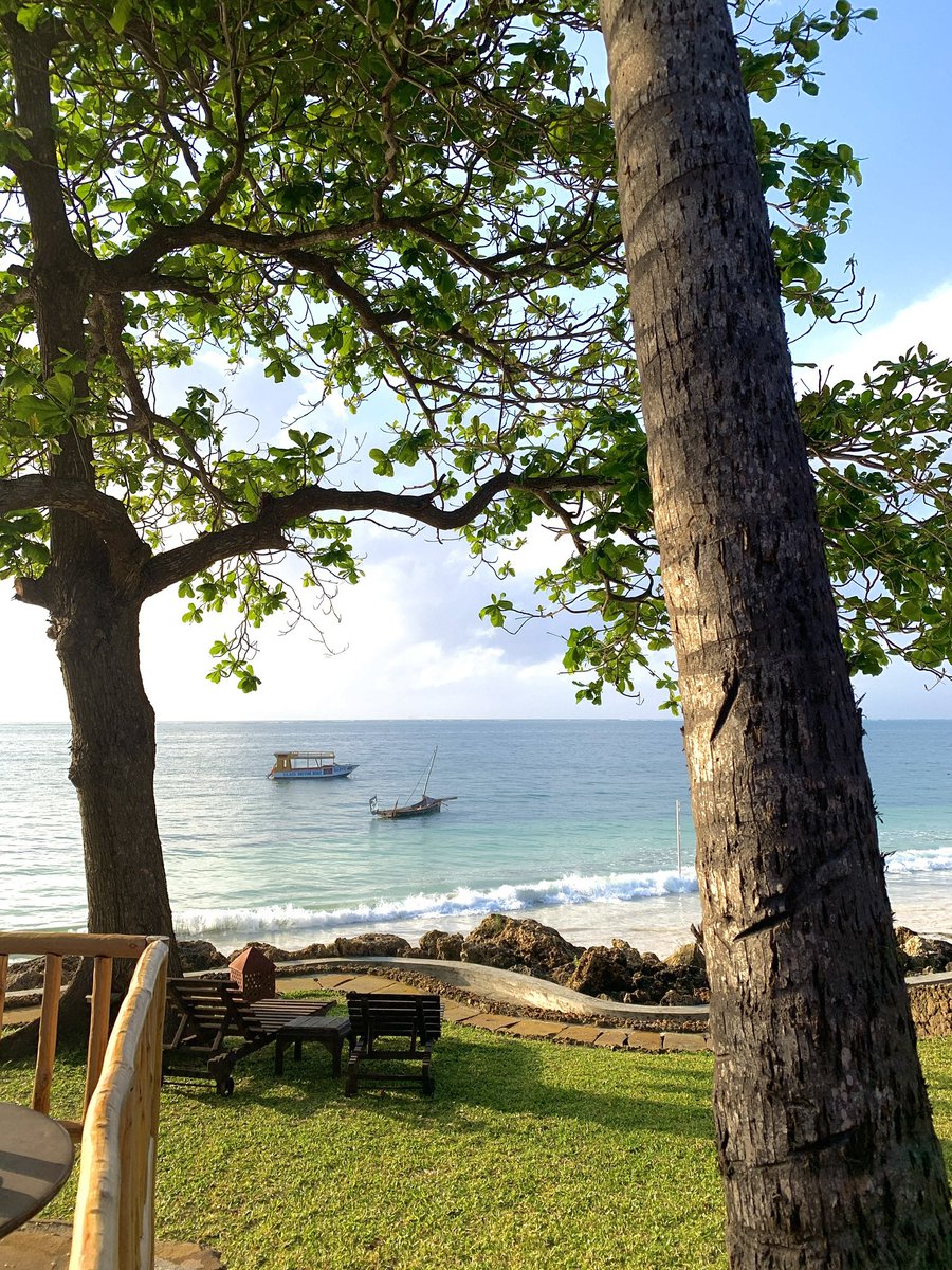 Hashilé 🇸🇳🇲🇱🇳🇬 | Personnage principal tweet media