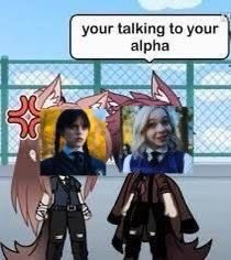 bel jurídico wenclair ♡̷ #wenclairstays (@wenbolter) on Twitter photo 