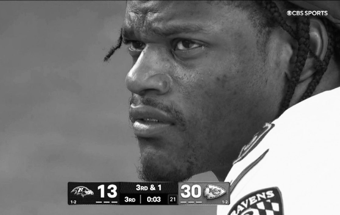 FlowersMuse (@flowers_muse) on Twitter photo 