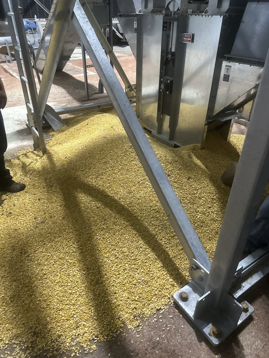 Bodie Kitchel tweet media