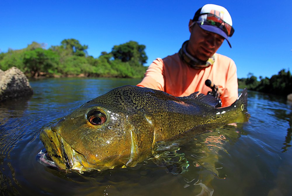 Keep Fish Wet tweet media