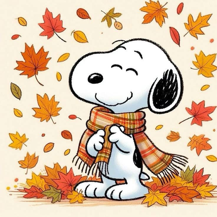 Tony_Larson's tweet photo. #fallfever https://t.co/2ngSjF8u5J