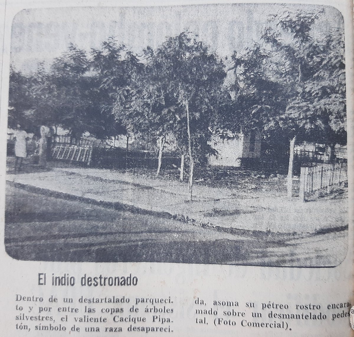 EL INDIO DESTRONADO

Dentro de un destartalado parquecito y por entre las copas de árboles silvestres, el valiente Cacique Pipatón, símbolo de una raza desaparecida, asoma su pétreo rostro encaramado sobre un desmantelado pedestal

Vanguardia Liberal 30 mayo 1974
#Barrancabermeja