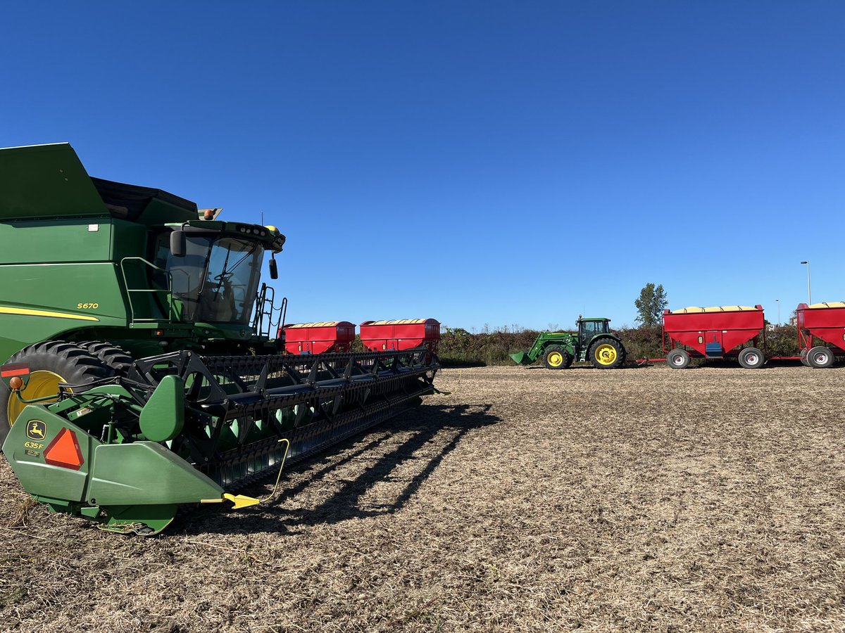 jim saul 🇨🇦🌽🐓 tweet media