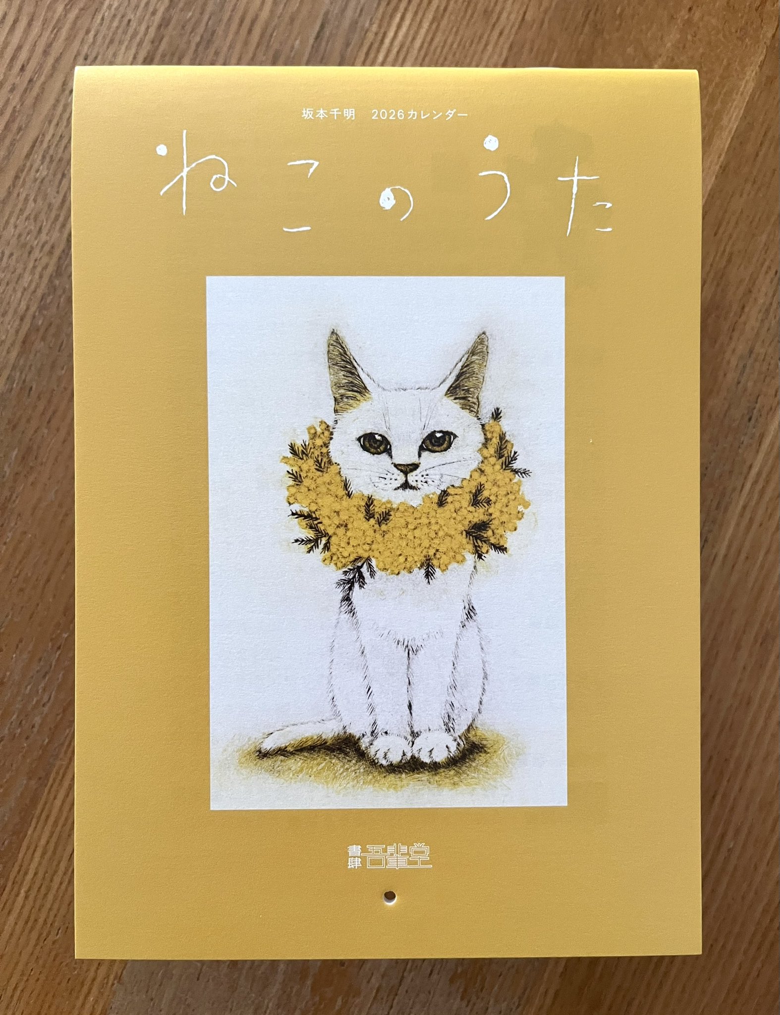 【たかぼー】8月20日テキスト出品 坂本千明 on X: