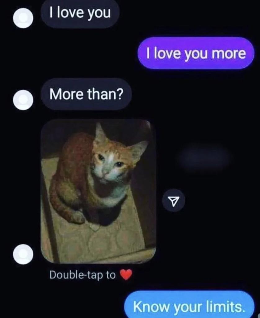 cats who share one braincell (@catbraincell) on Twitter photo 