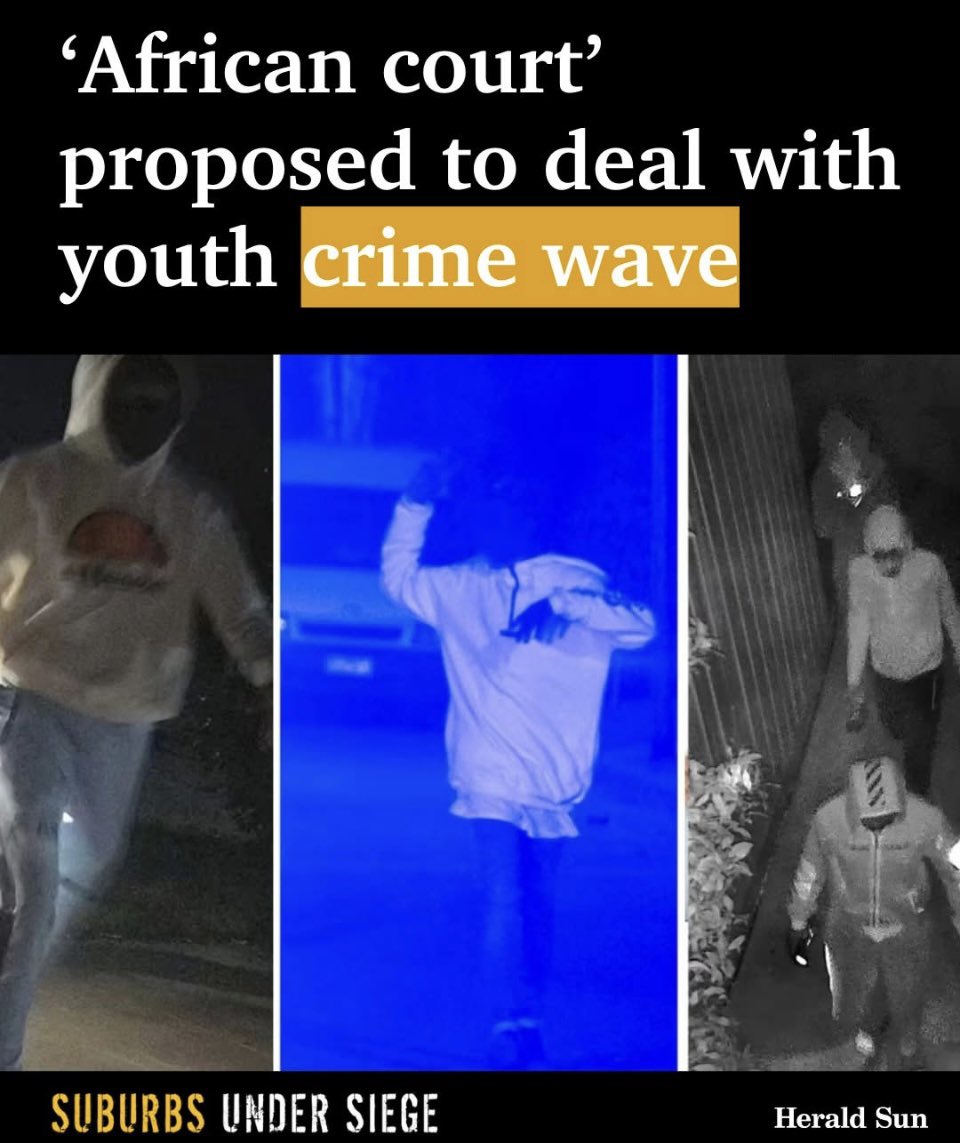 🔥RACE BASED JUSTICE SYSTEM in AUSTRALIA 🇦🇺 

A special court system similar to Victoria’s Koori Courts has been suggested for African offenders, with one expert saying “African kids need a justice process that speaks their language &amp; involves their community”.

Just ‘SEND THEM