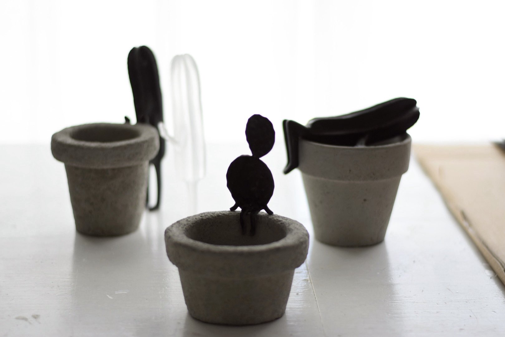 echidna サキュ天使 陣内啓治 多肉植物 サボ天使 ミニチュア ドール サボ天使 echidna サキュ天使 陣内啓治 多肉植物 サボ天使