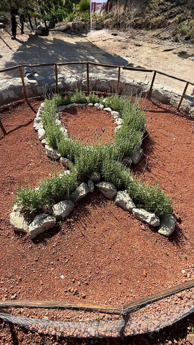 Hoy 28 septiembre Ceremonia de Plantación 2025.
<a href="/parquemetminvu/">Parquemet</a> 
<a href="/colmedchile/">Colegio Médico de Chile - Colmed Chile</a> 
“Sin donantes NO hay trasplantes”