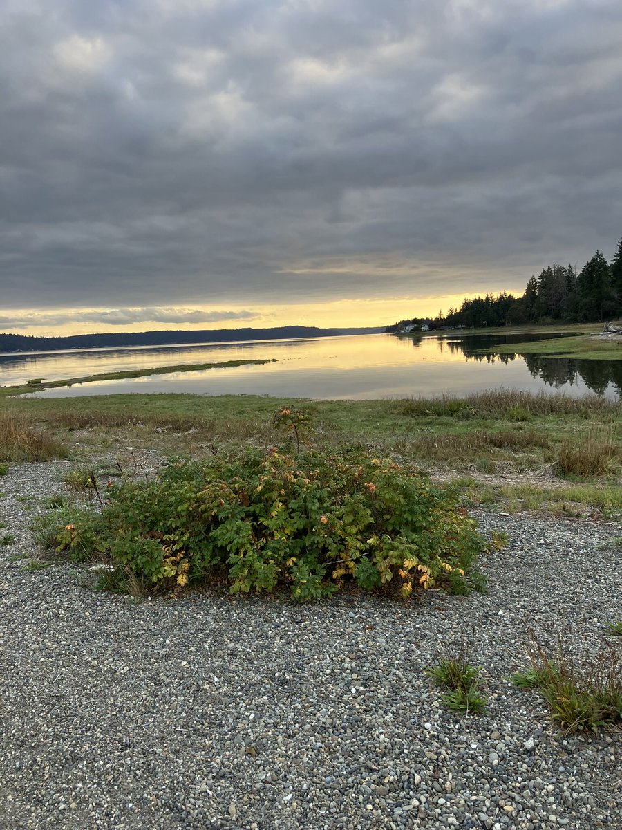 <a href="/LakotaMan1/">Lakota Man</a> I’d like to share this picture I took the other day.