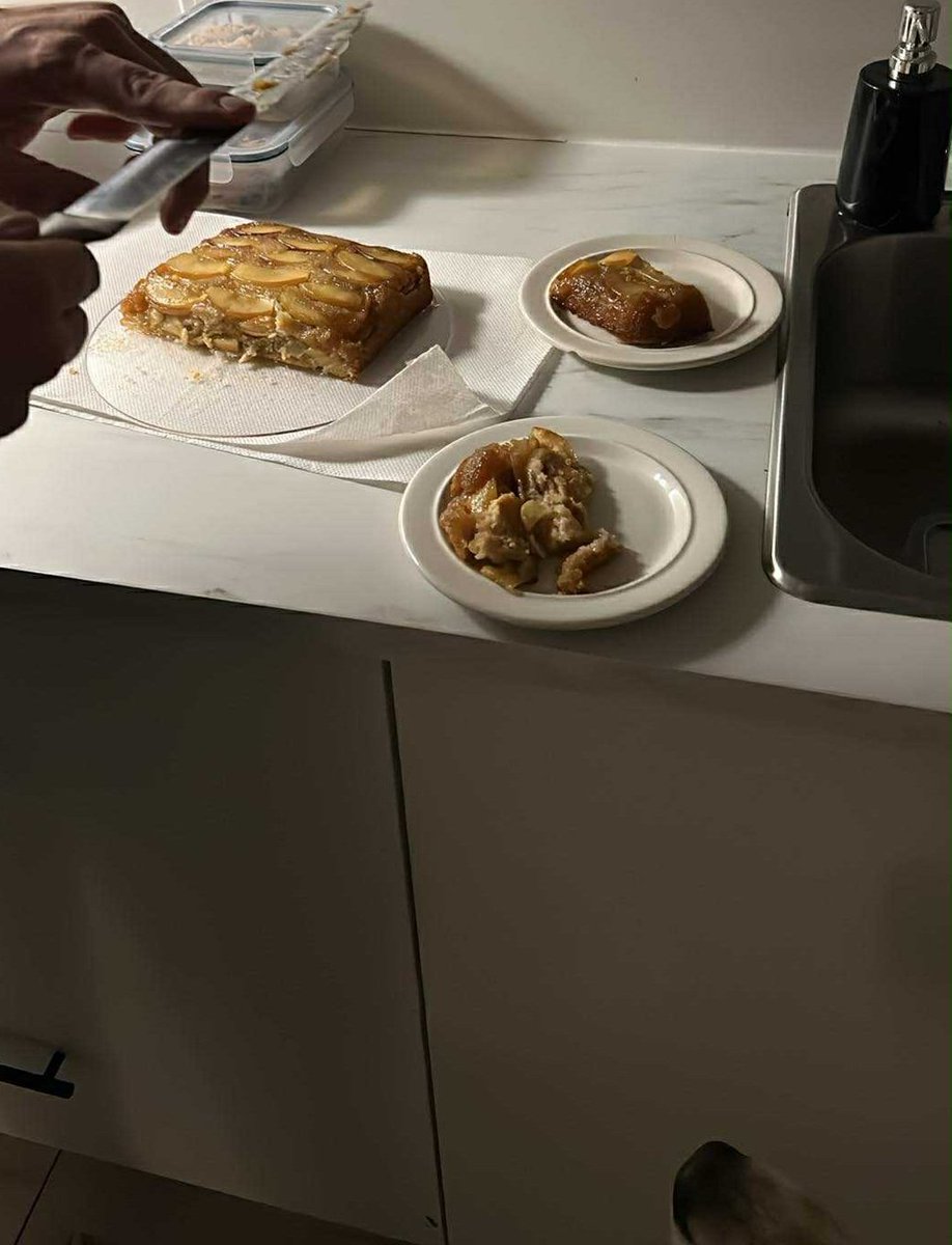 Matt🦖 tweet media