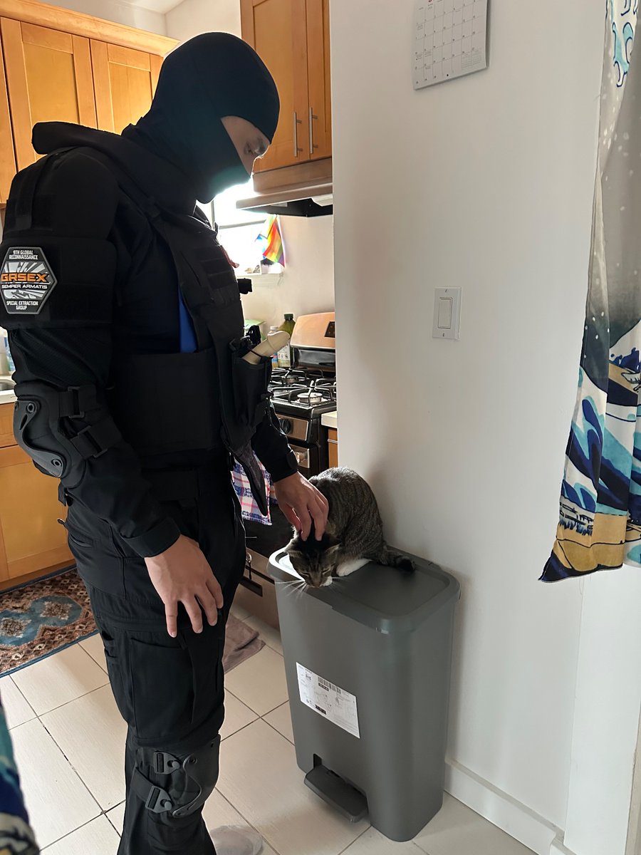 geartau's tweet image. CAT

📸 @KinkDrive