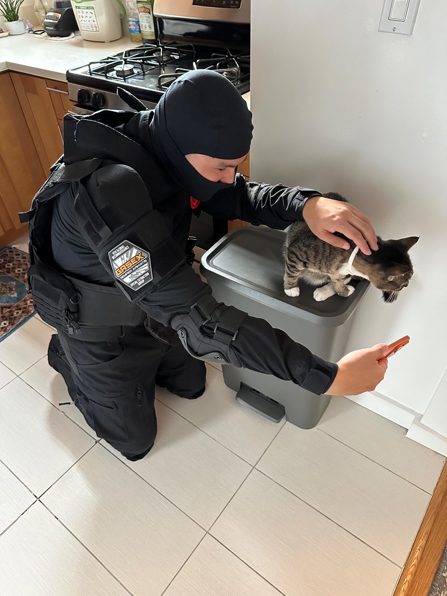 CAT

📸 <a href="/KinkDrive/">xtml57</a>