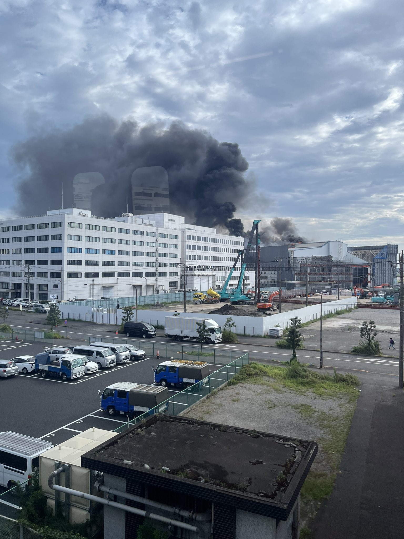 昆布。ページ Z－253 BS黒本体（B） | 製品詳細 | シーピー化成株式会社