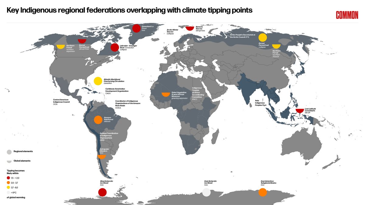 oscar_soria's tweet photo. This map we made at The Common Initiative reveals  what Climate Week in New York overlooked: the world’s most critical  climate tipping points directly overlap with key Indigenous territories,  including areas with nomadic and semi-nomadic Indigenous communities.
Indigenous  peoples manage about 25% of Earth's land surface and 37% of remaining  natural areas, storing 33% of carbon in intact forests. Yet their  governance systems remain marginalized in climate discussions.
As #NYCW closes today, one question haunts me: whose voices were diminished?
Key  Indigenous federations from the Amazon, the Andes, Central America,  Central and North, Central and Southern Africa, the Arctic, the  Caribbean, South/South East Asia and Pacific sent drastically smaller  delegations than in previous years. Not by choice. Travel and visa  restrictions, funding constraints, and institutional preferences for  symbolic participation over real governance limited their presence.
The  paradox is stark: Climate Week elevates new pledges while sidelining  those already governing planetary resilience frontlines.
Indigenous  federations aren't stakeholders, they're proven stewards.  Indigenous-managed territories have lower deforestation rates and better  biodiversity outcomes than state-protected areas. They're already  delivering climate solutions while formal climate governance ignores  them.
This isn't about justice; it's about  effectiveness. The territories with the best conservation track records  remain marginalized in climate policy. Sidelining proven stewards misallocates resources at the most strategic level.
If  territories with the best conservation outcomes depend on Indigenous  stewardship, why aren't their federations empowered as central  decision-makers at #UNGA and #ClimateWeek?
To  bend the curve on climate, the answer isn't another "initiative". It's  transferring real decision-making power to federations whose stewardship  aligns with Earth system survival.
Will next year  finally empower Indigenous federations as climate decision-makers, or  will we keep mistaking consultation for governance?
The voices missing this week are precisely those we cannot afford to leave out.