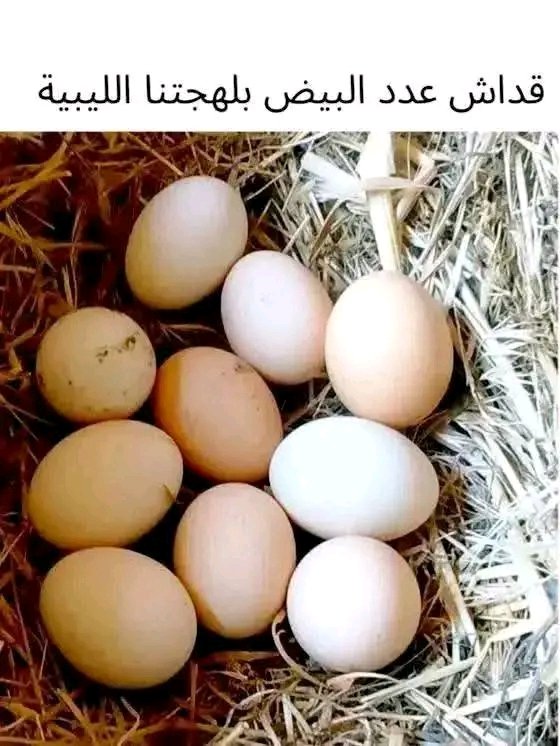 أمثـــال شعبيـــــة ⚙️ tweet media