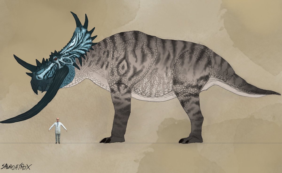 b3njaxdrex's tweet image. Some creatures i made for #projectparadise 

armasaura glyptodonto
Ambulosuchus imperator
Brontoceratops behemothi