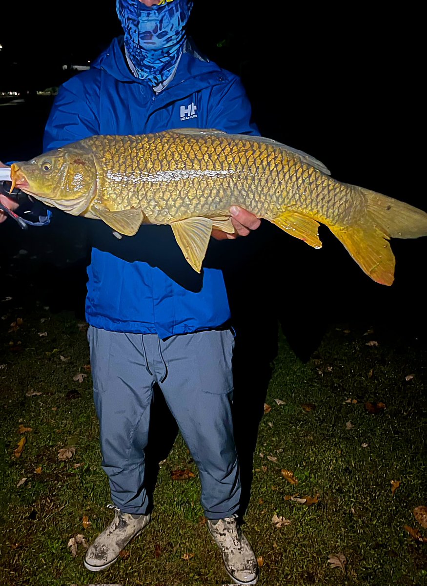 dropa_line's tweet photo. Carp ultralight fishing in the dark fun time. https://t.co/yaENeFFfr8