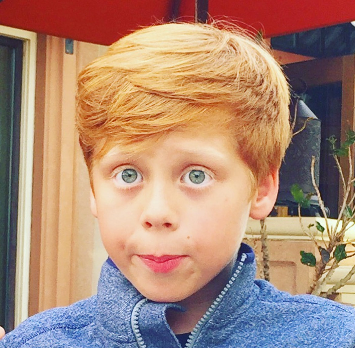 Carminita Immelman tweet media