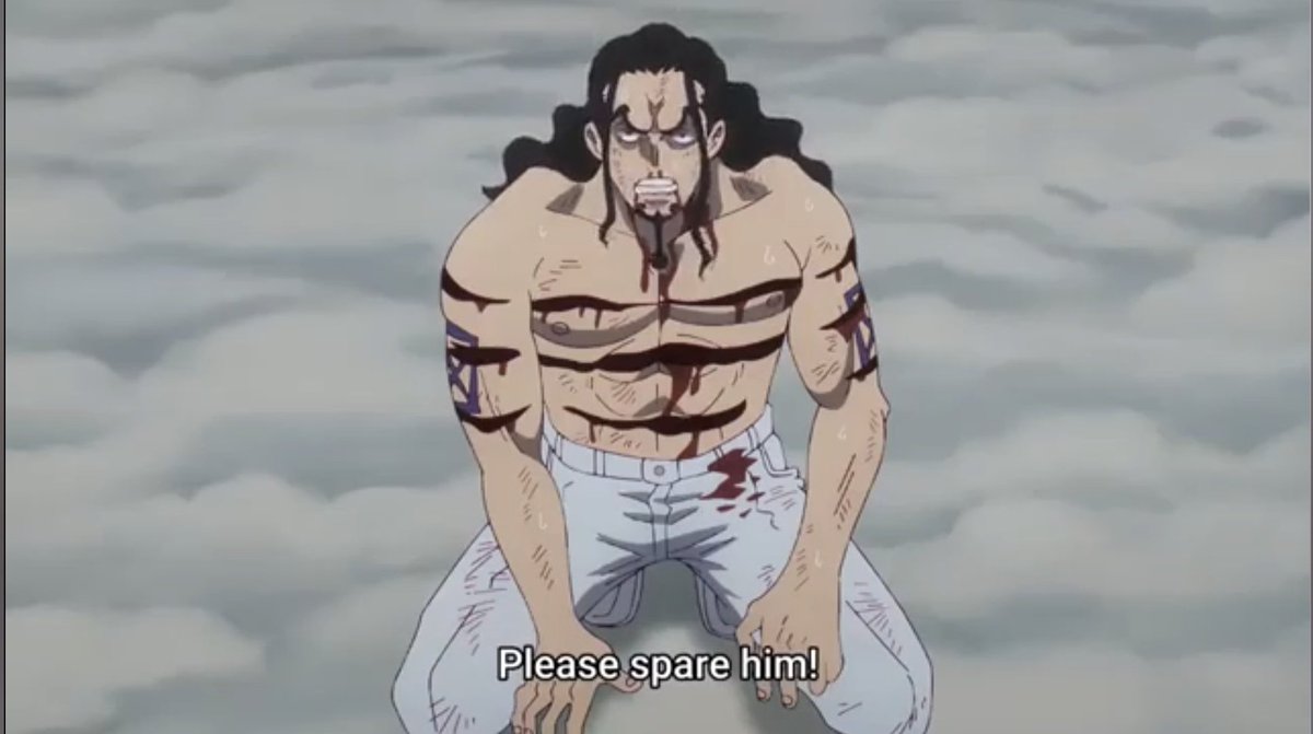 Kowa | Lucci&Doffy's Wife๐ี. .ี๐ฆฏ๐โค๏ธ tweet media