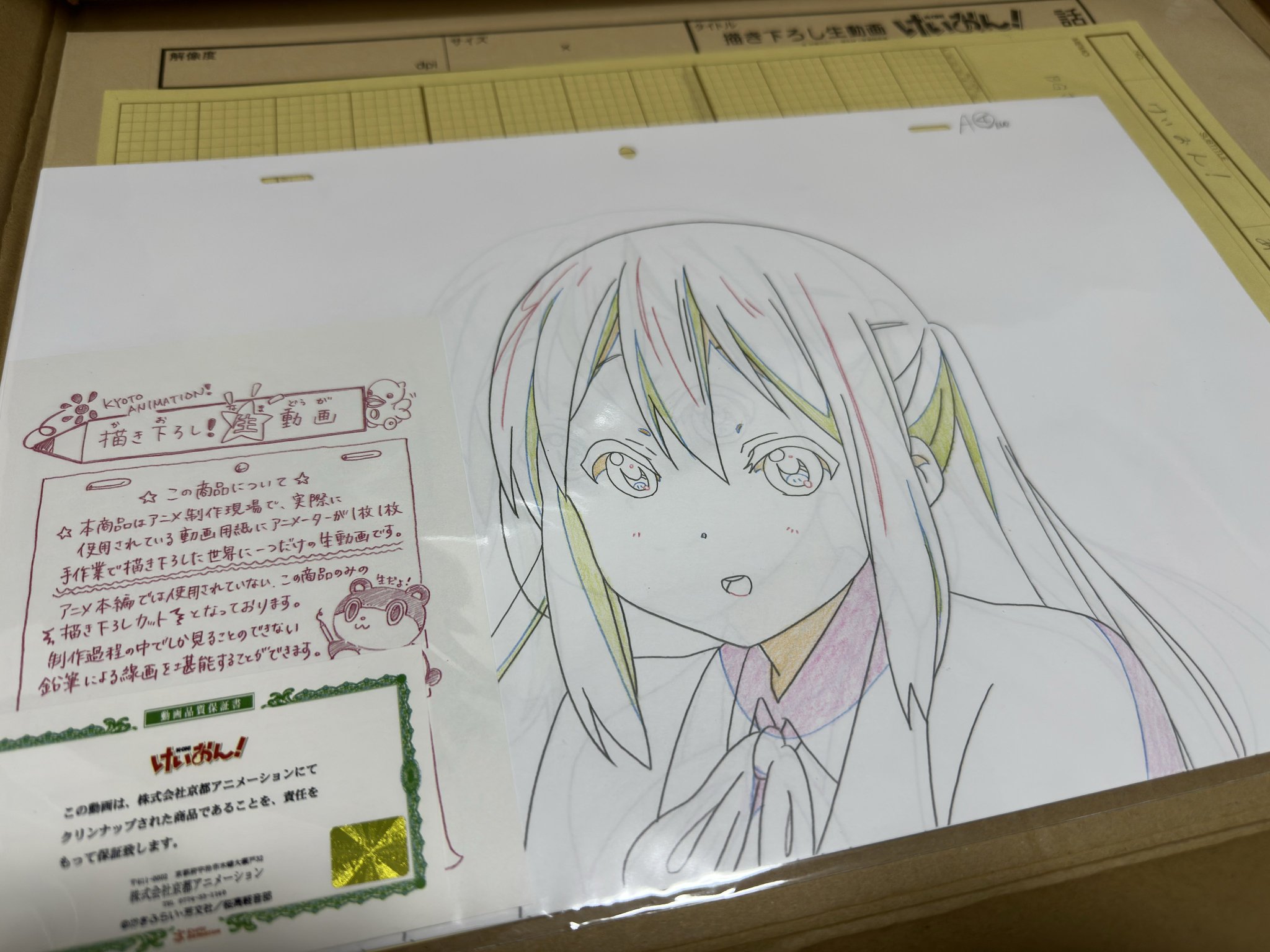 けいおん!描き下ろし生動画 5枚セット　32240825I01M けいおん!描き下ろし生動画 5枚セット 32240825I01M 京都